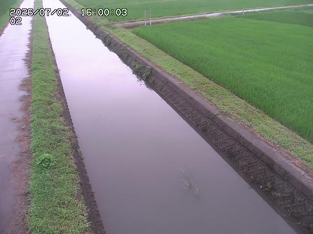 大倉川１2026/07/03 8:30:00