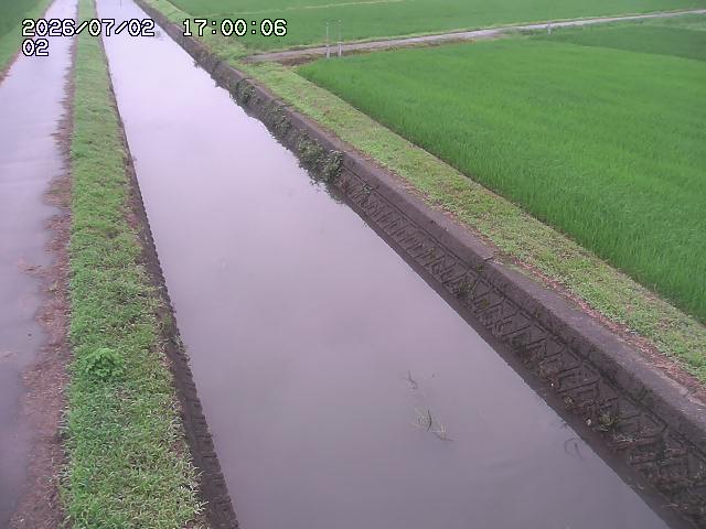 大倉川１2026/07/03 8:30:00