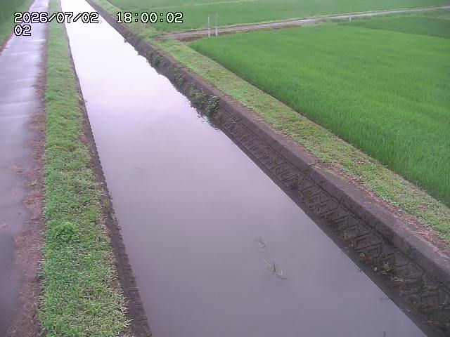 大倉川１2026/07/03 8:30:00