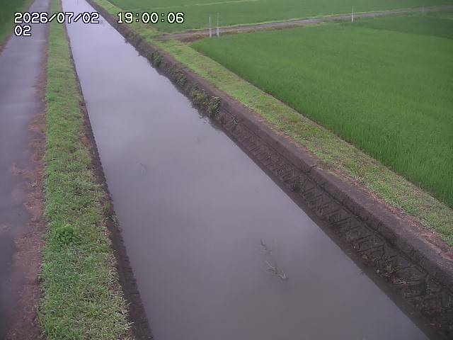 大倉川１2026/07/03 8:30:00