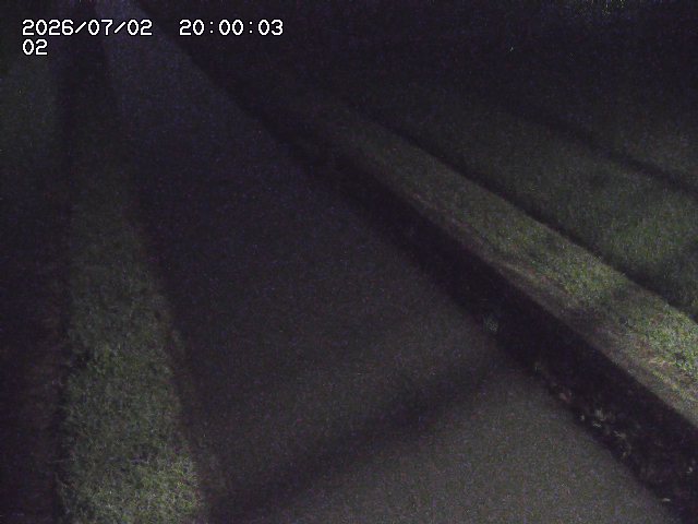 大倉川１2026/07/03 8:30:00