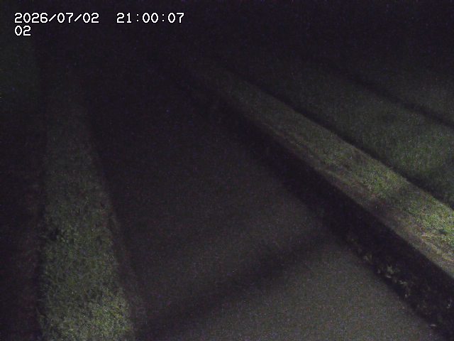 大倉川１2026/07/03 8:30:00