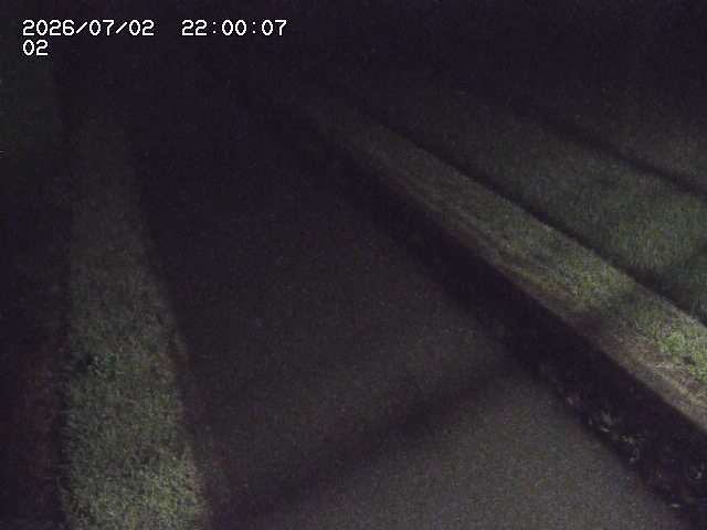 大倉川１2026/07/03 8:30:00