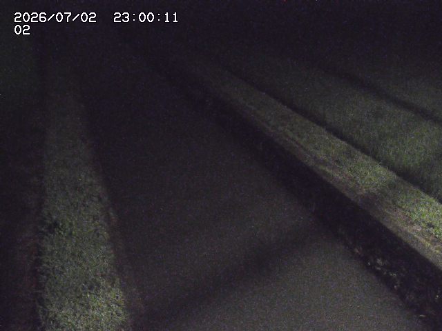 大倉川１2026/07/03 8:30:00