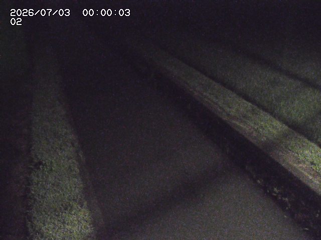 大倉川１2026/07/03 8:30:00