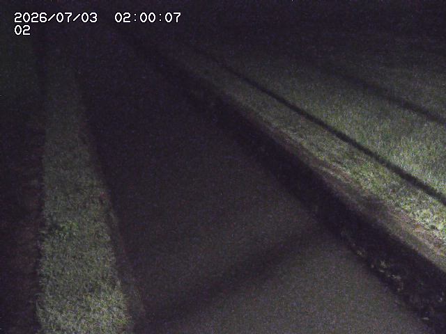 大倉川１2026/07/03 8:30:00