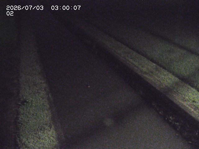 大倉川１2026/07/03 8:30:00