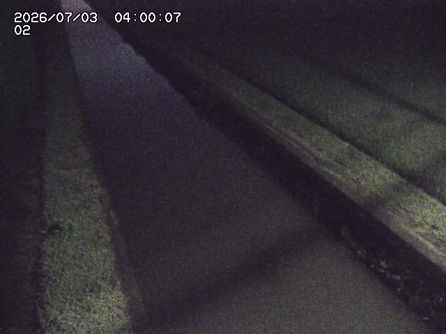 大倉川１2026/07/03 8:30:00