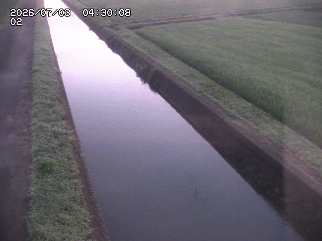 大倉川１2026/07/03 8:30:00