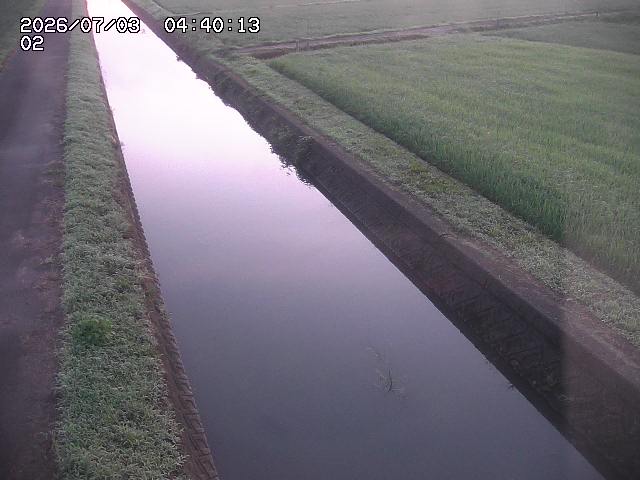 大倉川１2026/07/03 8:30:00