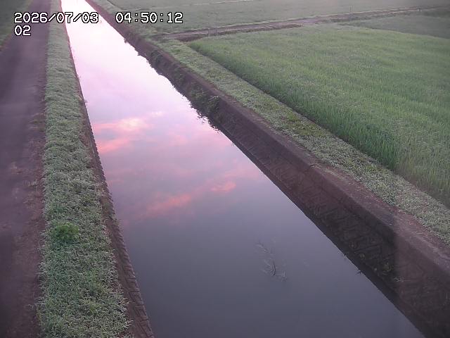大倉川１2026/07/03 8:30:00