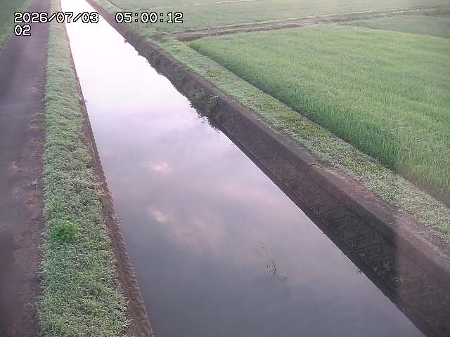 大倉川１2026/07/03 8:30:00