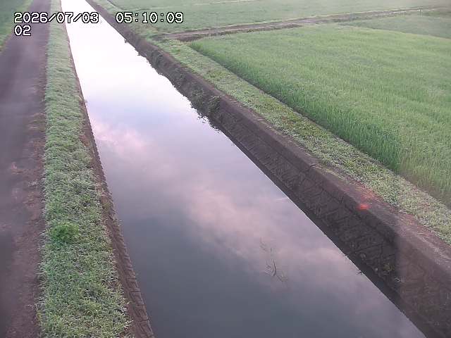 大倉川１2026/07/03 8:30:00