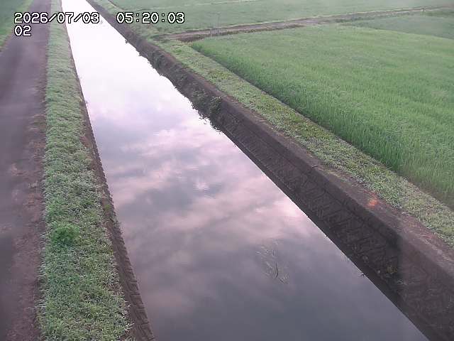 大倉川１2026/07/03 8:30:00