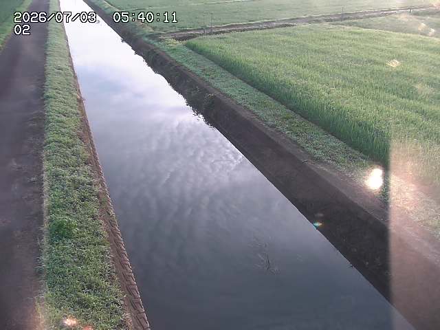 大倉川１2026/07/03 8:30:00