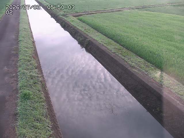 大倉川１2026/07/03 8:30:00