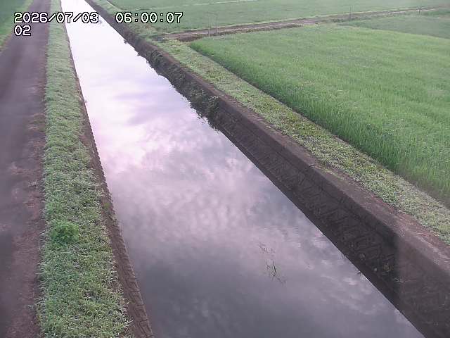 大倉川１2026/07/03 8:30:00