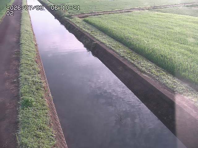 大倉川１2026/07/03 8:30:00