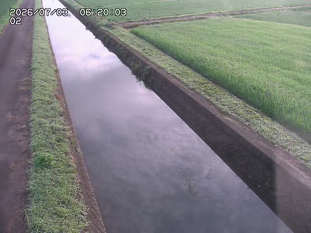 大倉川１2026/07/03 8:30:00