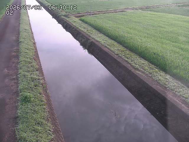 大倉川１2026/07/03 8:30:00