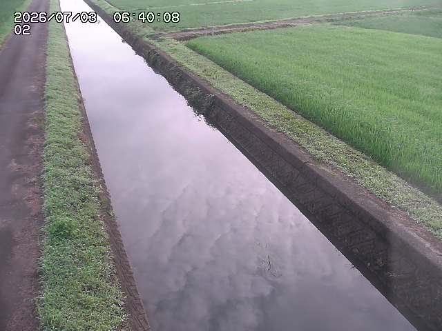 大倉川１2026/07/03 8:30:00