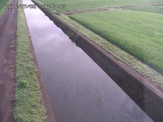 大倉川１2026/07/03 8:30:00