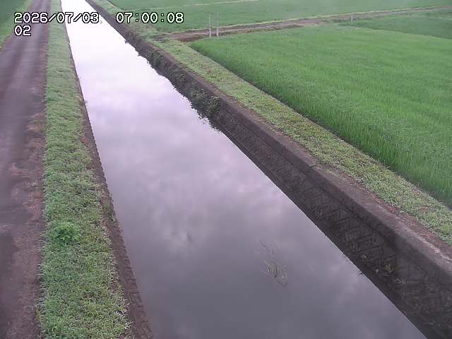 大倉川１2026/07/03 8:30:00