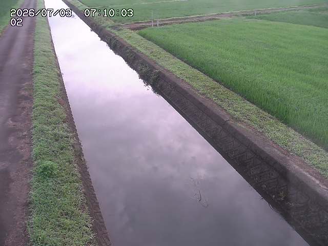 大倉川１2026/07/03 8:30:00