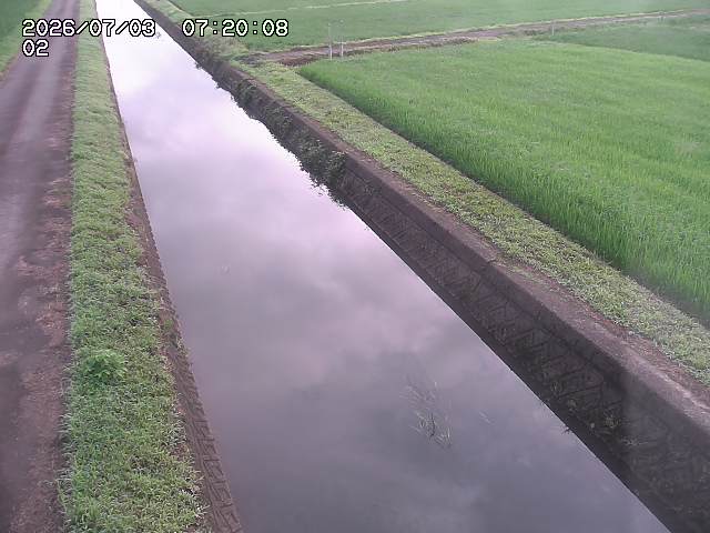 大倉川１2026/07/03 8:30:00