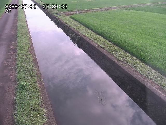 大倉川１2026/07/03 8:30:00
