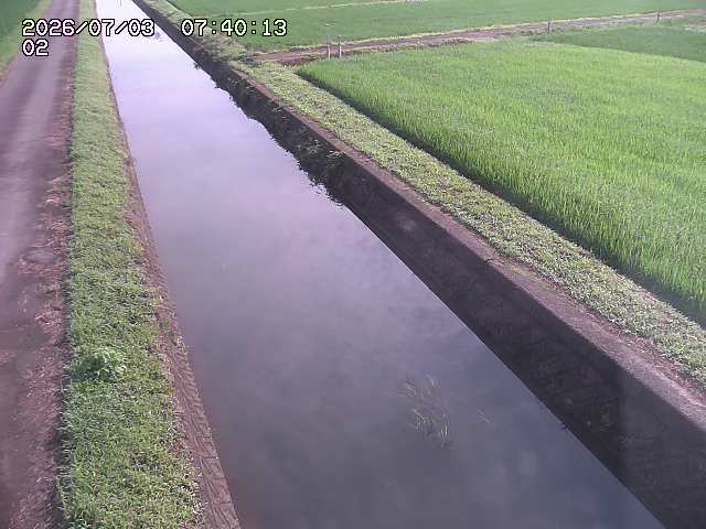 大倉川１2026/07/03 8:30:00