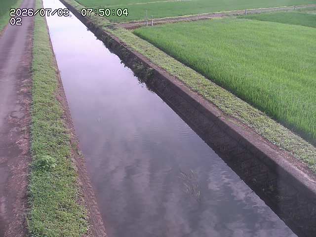 大倉川１2026/07/03 8:30:00
