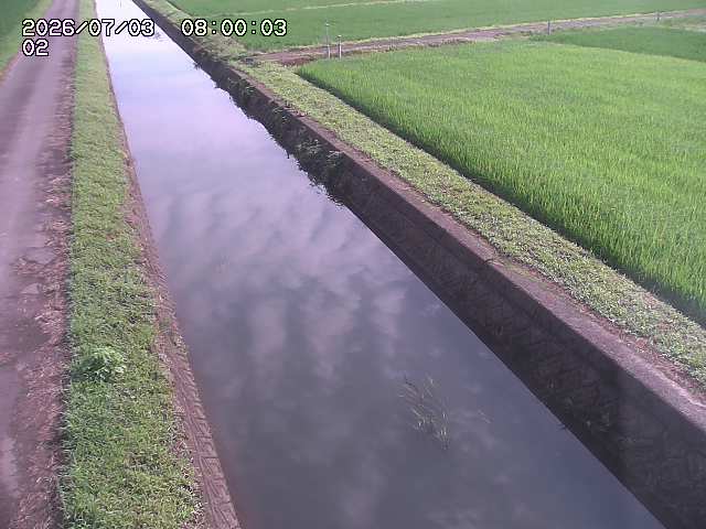大倉川１2026/07/03 8:30:00