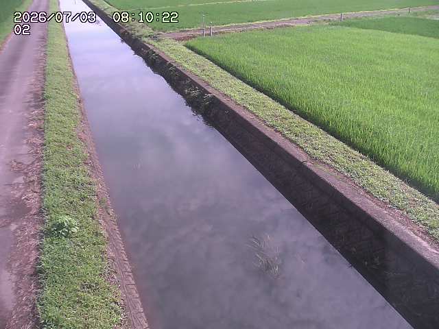 大倉川１2026/07/03 8:30:00