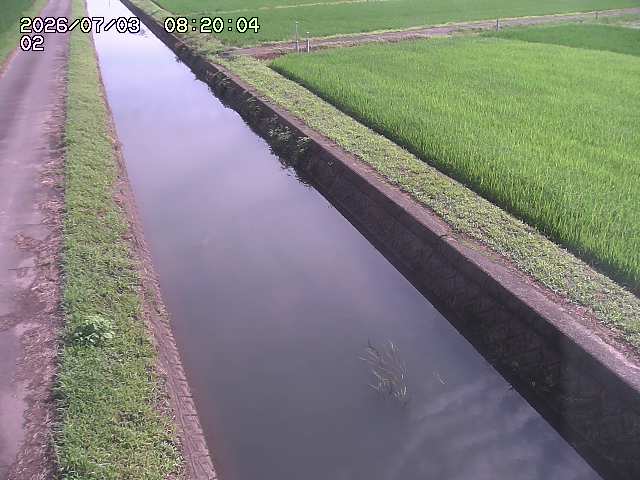 大倉川１2026/07/03 8:30:00