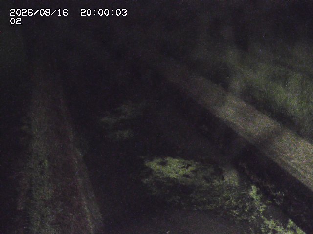 大倉川１2026/08/17 20:40:00
