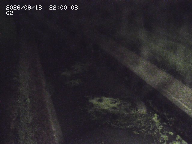 大倉川１2026/08/17 20:40:00