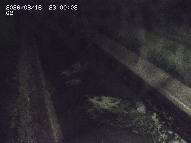 大倉川１2026/08/17 20:40:00