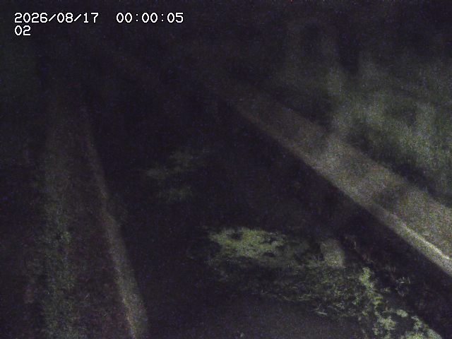 大倉川１2026/08/17 20:40:00