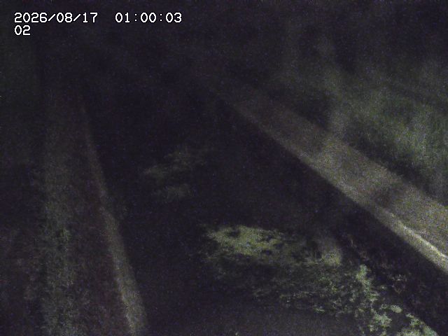 大倉川１2026/08/17 20:40:00