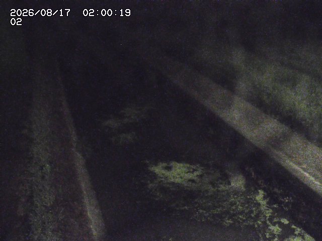大倉川１2026/08/17 20:40:00