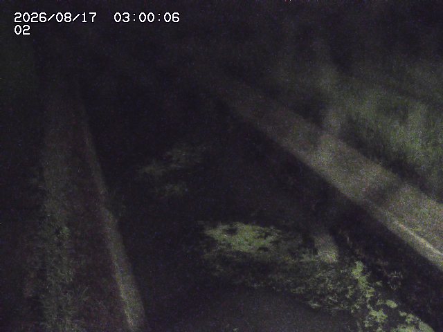 大倉川１2026/08/17 20:40:00