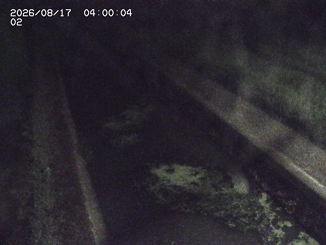 大倉川１2026/08/17 20:40:00