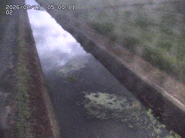 大倉川１2026/08/17 20:40:00