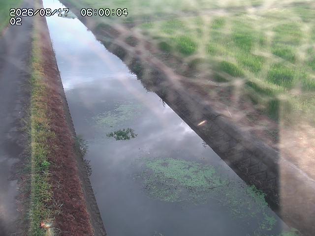 大倉川１2026/08/17 20:40:00