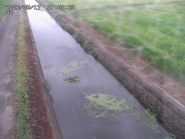 大倉川１2026/08/17 20:40:00