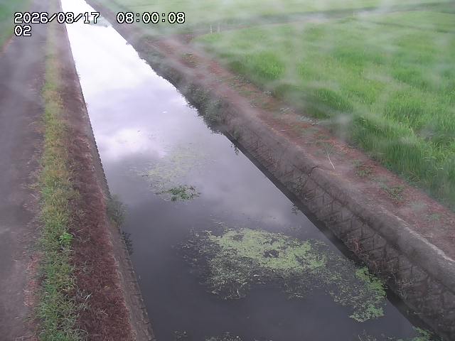 大倉川１2026/08/17 20:40:00