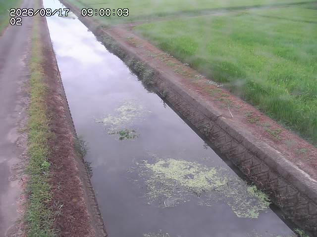 大倉川１2026/08/17 20:40:00