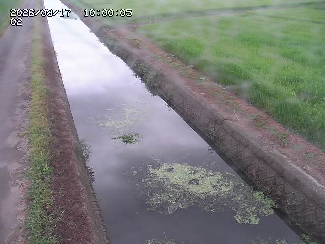 大倉川１2026/08/17 20:40:00