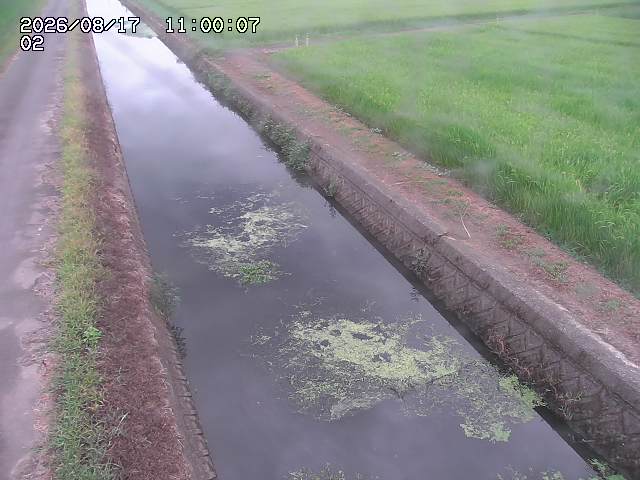 大倉川１2026/08/17 20:40:00